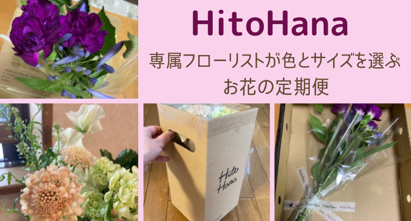 【レビュー】HitoHana（ひとはな）実際に届いたお花や口コミ！色とサイズが選べる 